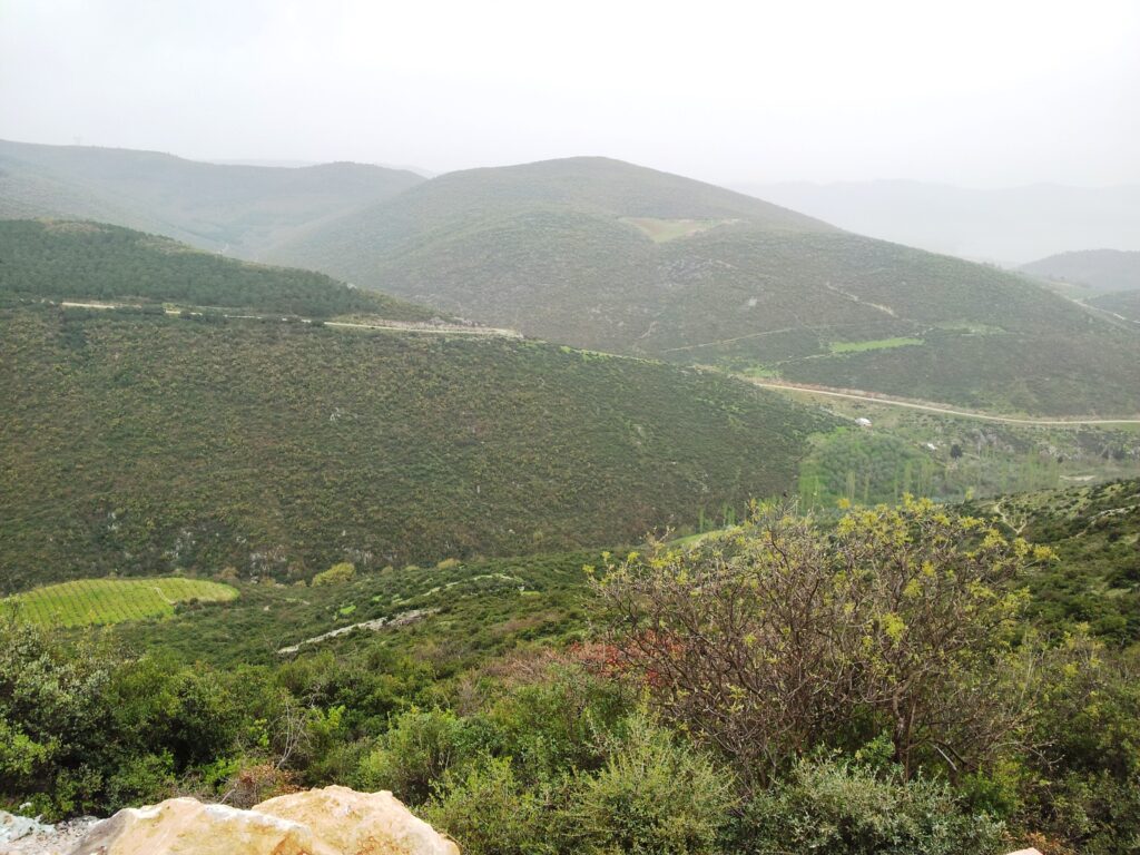 Elbeyli Mahallesi, İznik