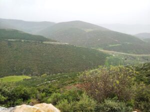 Elbeyli Mahallesi, İznik
